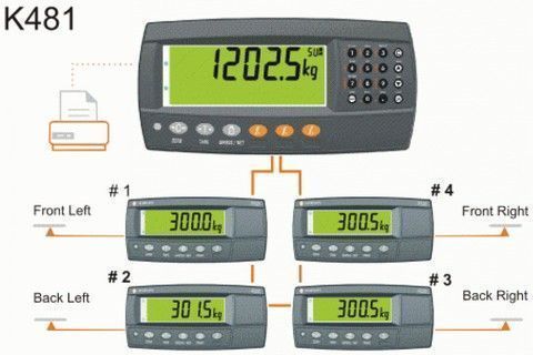   Rinstrum R420k481